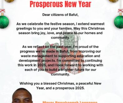 Merry Christmas and a Prosperous New Year 2025